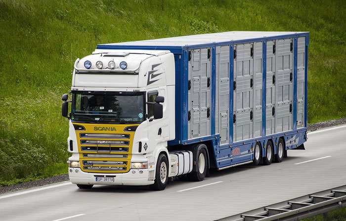 Cargo management